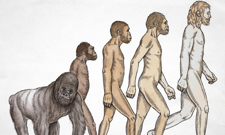 Evolution Of Monkeys