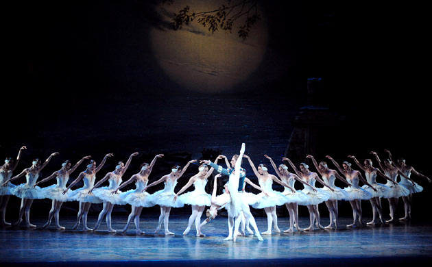 swan lake ballet outline