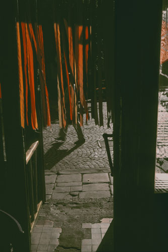 Savelev: Antiflies, 1987, Boris Savelev