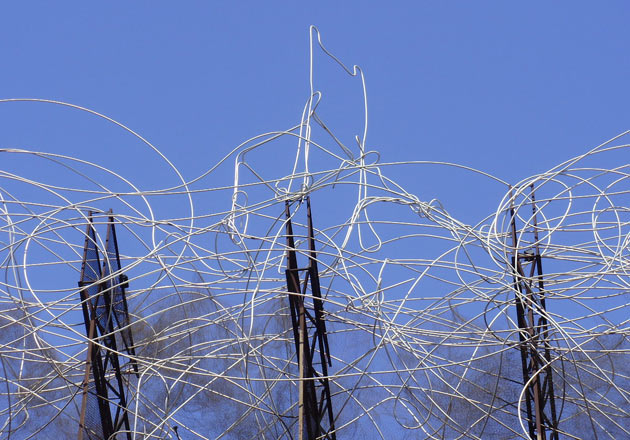 Your photos: Sonia Holgado