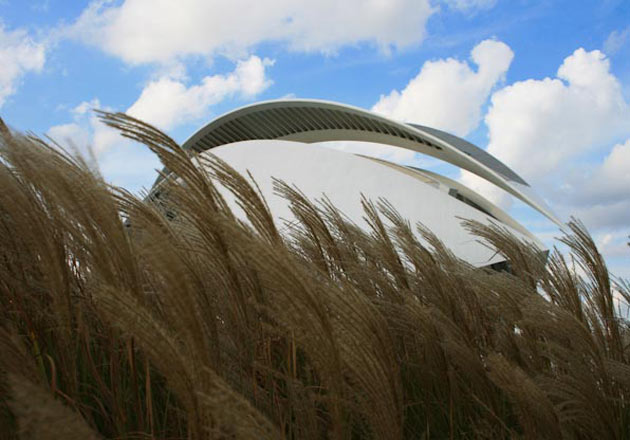 Your photos: Deniz Serim