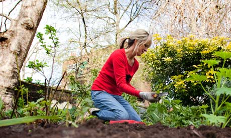 Julie Myerson in her garden