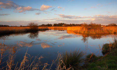 Roger Deakin Waterlog