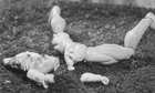 Why I'm seduced by Cindy Sherman's Sex Pictures