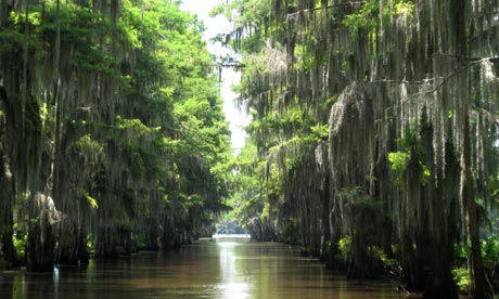 Caddo Lake