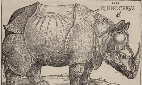 A rhinoceros, Albrecht Dürer