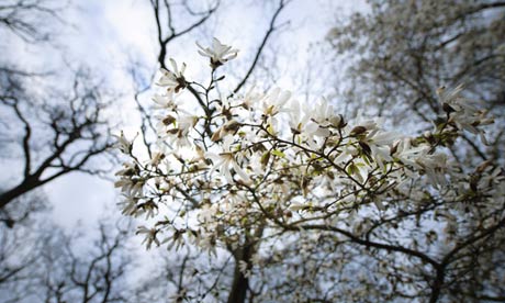 April … flowers blossom in Wisley Gardens, Surrey