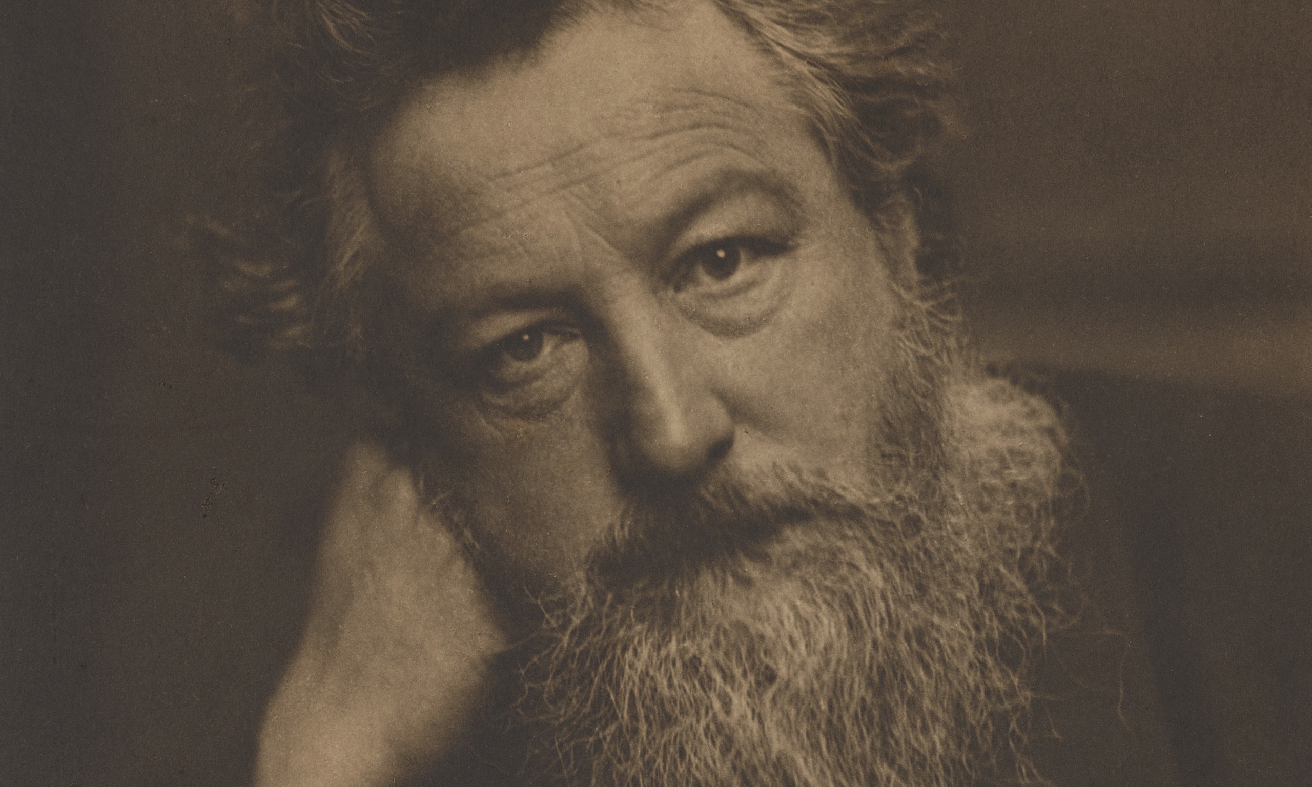 William Morris Beauty And Anarchy In The UK Books The Guardian