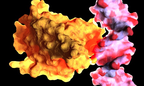 Tumour suppressor protein