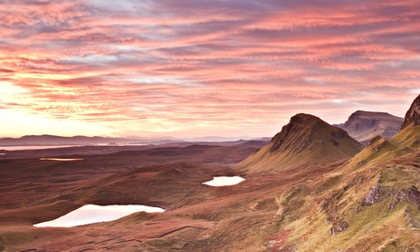 a book of death and fish