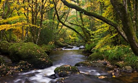 River Teign flowing through deciduous woodland, Dartmoor, Devon, England. Autumn (October) 2010.