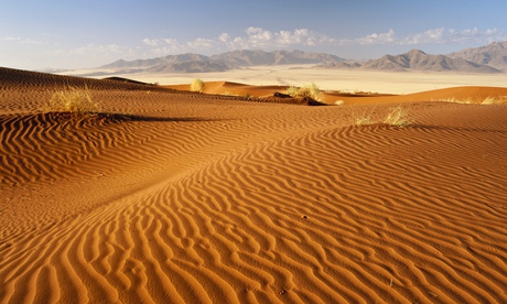 Beautiful Intelligence