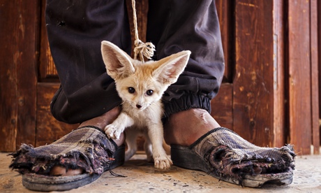 Photograph: Bruno D'Amicis