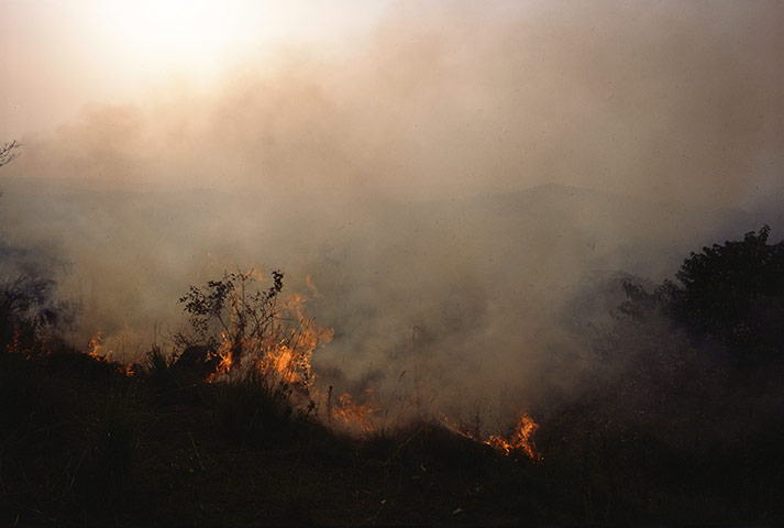 Art Everywhere: Zarina Bhimji