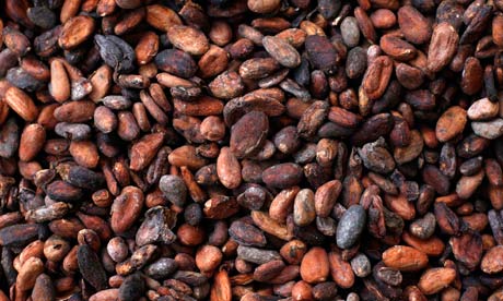 Cocoa beans