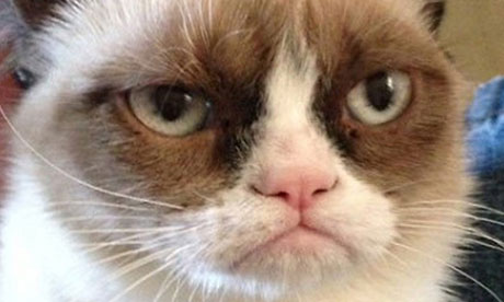 Grumpy-Cat-008.jpg