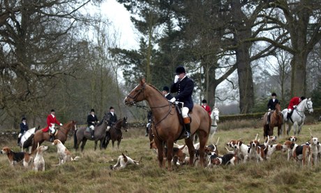 A fox-hunt