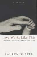 Love Works Like This by Lauren Slater