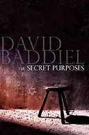 The Secret Purposes by David Baddiel