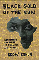 Black Gold of the Sun: Searching for Home in England and Africa by Ekow Eshun