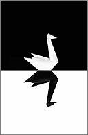 Black Swan by Nassim Nicholas Taleb
