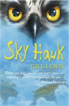 Gill Lewis, Sky Hawk
