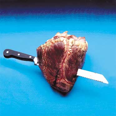 Love, Love, Love by Damien Hirst in collaboration with Paul Fryer