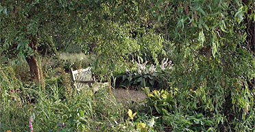 Lyra's bench in Oxford University botanical gardens