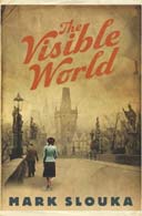 The Visible World by Mark