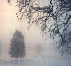 Winter in Sweden