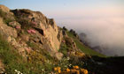 Guernsey coast