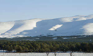 Cairngorms