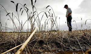 Cheshire farmer inspects waterlogged crop