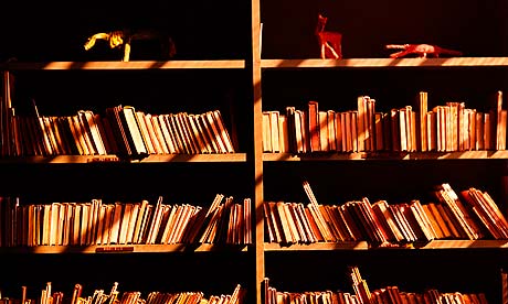 Books on shelves, in sunlight and shadows