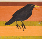 At least thirteen ways of looking at a blackbird