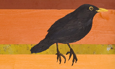At least thirteen ways of looking at a blackbird