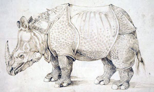 Detail from Albrecht Durer's etching of a rhinoceros (1498)