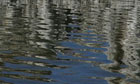 Surface of a river