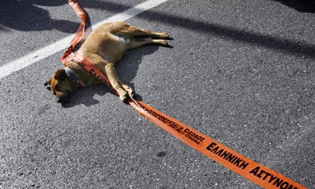 A stray dog plays with a police line in Greece