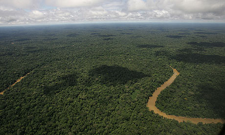  Yasuni National Park, in Ecuador's northeastern jungle