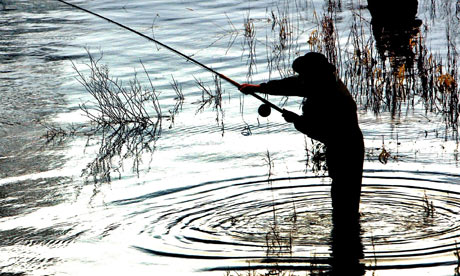 British River Fish