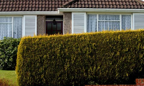 Suburbia