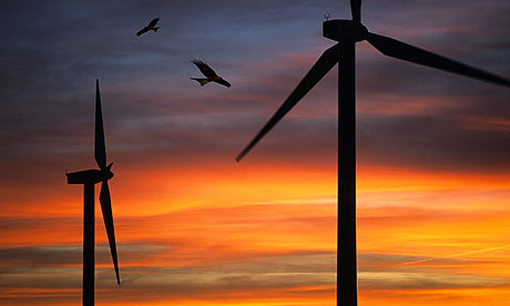 Red kites fly past wind turbines.