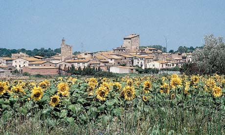 Catalan Landscape