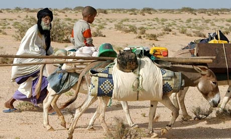 Sahel desert Mauritania