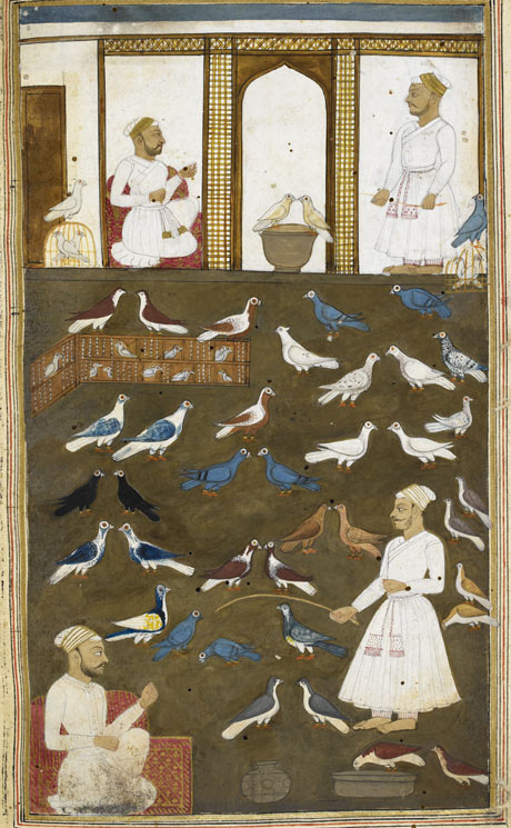 Информация по Индо-пакистанским голубям The-Book-of-Pigeons-by-Va-001