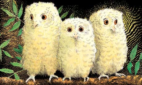 owl babies story