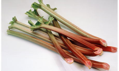  - Several-rhubarb-sticks-008