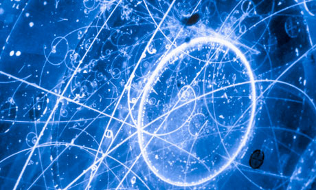 Subatomic-neutrino-tracks-004.jpg