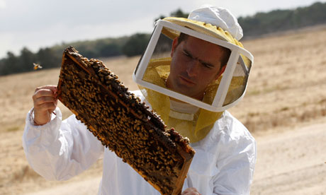 Beekeeper